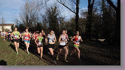 Begles 15.12.13 01 688 * 680 x 373 * (126KB)